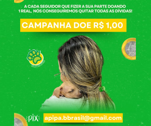 APIPA