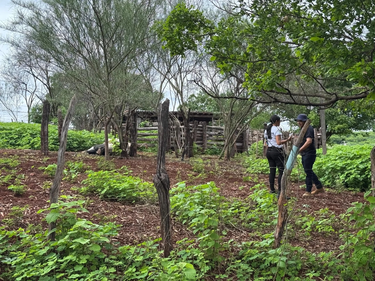 Empresário morre eletrocutado em Picos; acidente causa comoção na região
