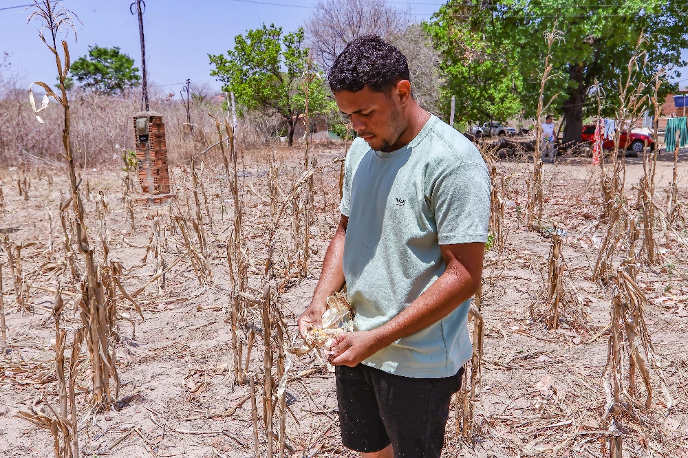 Agricultor Marcos Felipe Viana, de Floriano, perdeu quase tudo que plantou