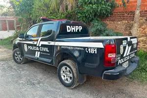 DHPP (Foto: Reprodução)