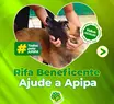Rifa beneficente da APIPA sorteia tablet para ajudar quase 400 animais resgatados Rifa beneficente da APIPA sorteia tablet para ajudar quase 400 animais resgatados