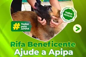 Instituição realiza campanha solidária com prêmio de um Galaxy Tab A9 para arrecadar doações (Foto: APIPA)