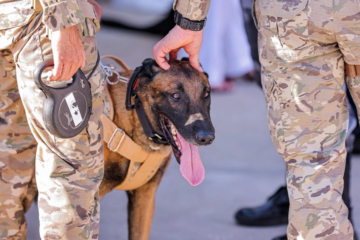 K9