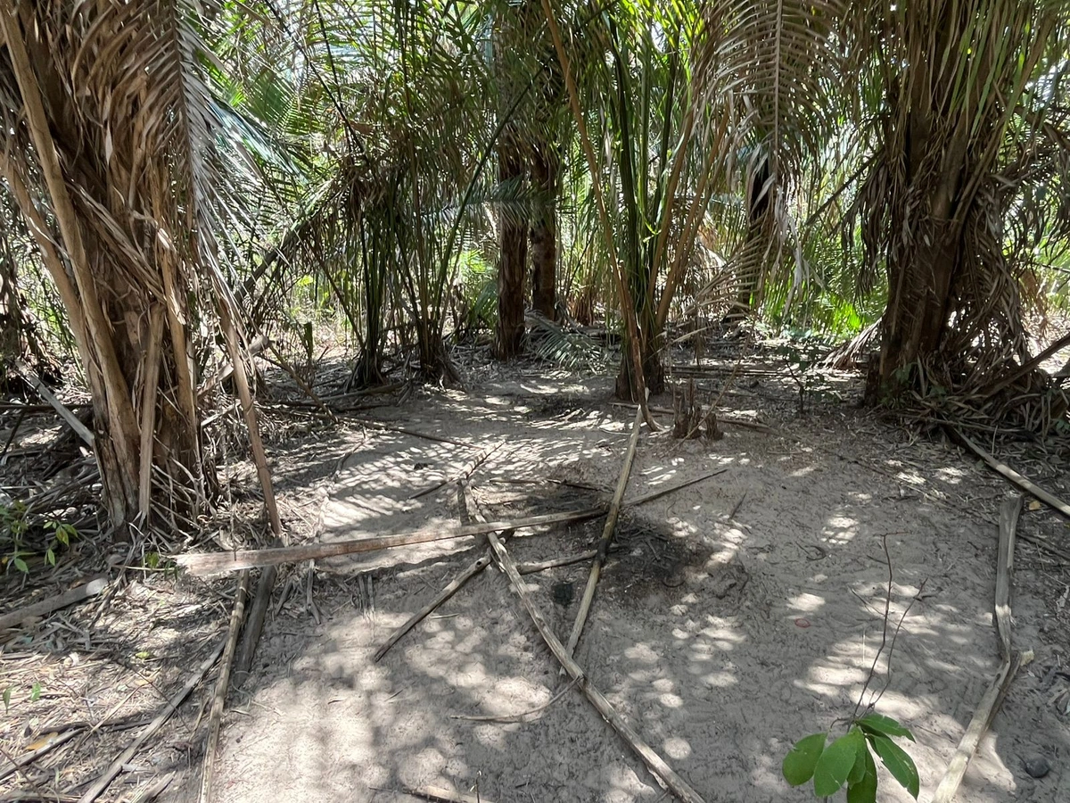 Local onde foram encontrados os corpos