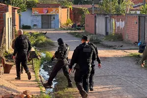 Operação Cerco Fechado (Foto: SSP-PI)
