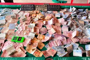 Operação no município de Lagoa Alegre (Foto: SSP-PI)