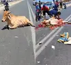 Polícia investiga pessoas que saquearam vaca após acidente em Teresina