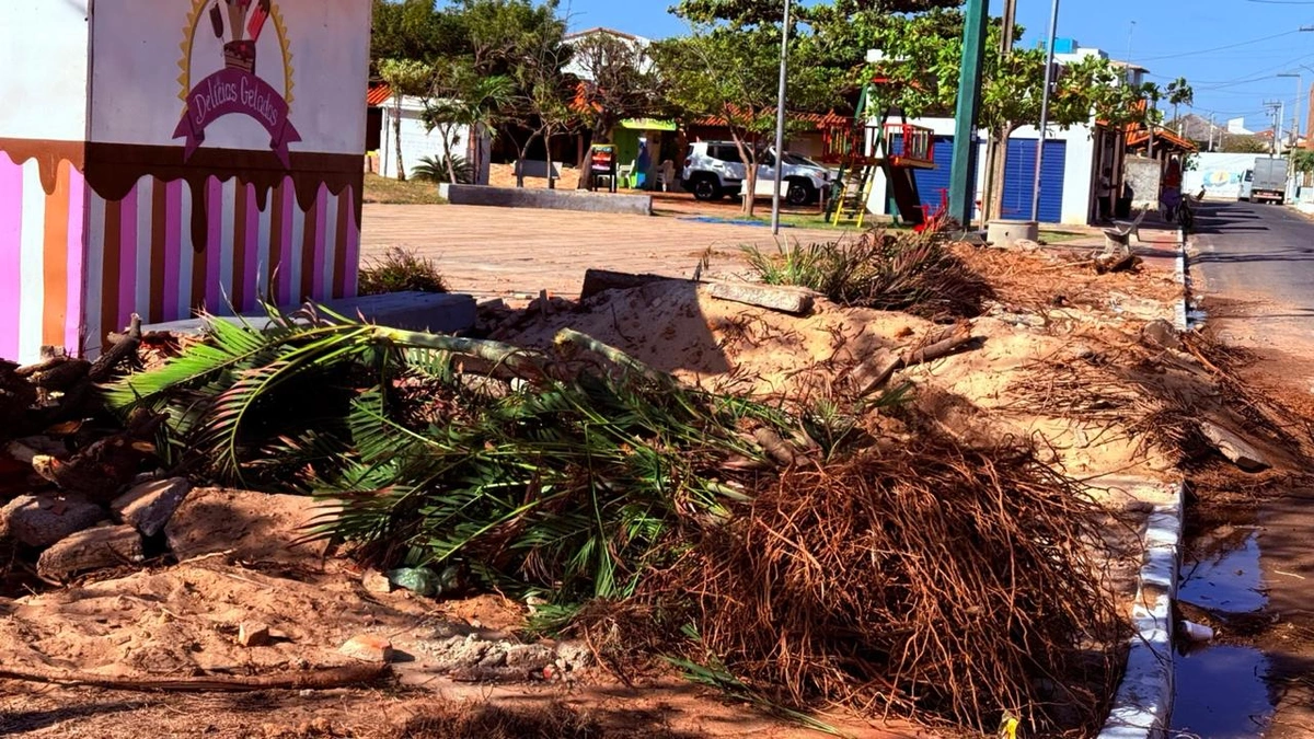 Associação questiona retirada de árvores e cobra transparência em obra na praça do Coqueiro da Praia
