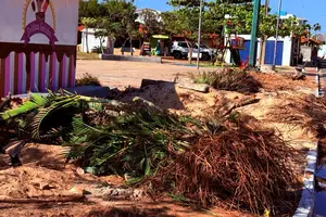 Associação questiona retirada de árvores e cobra transparência em obra na praça do Coqueiro da Praia (Foto: Divulgação)