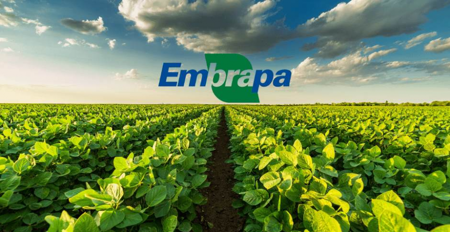 Embrapa
