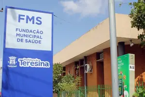 FMS (Foto: Reprodução)