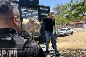 Porteira Fechada (Foto: SSP-PI)