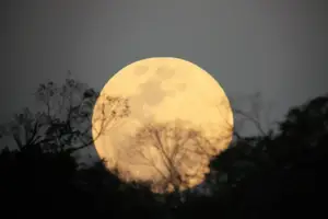 Superlua ilumina o céu do Brasil nesta quarta (5) e promete espetáculo a olho nu (Foto: Observatório Didático de Astronomia da UNESP)