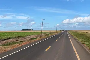 Trecho da PI-397, rodovia Transcerrados (Foto: DER)