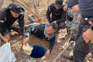 Apreensão de drogas em Bom Princípio (Foto: SSP-PI)