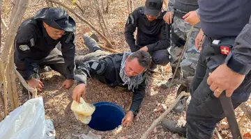Apreensão de drogas em Bom Princípio (Foto: SSP-PI)