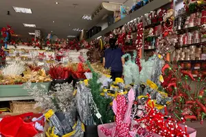 As festas de Natal e as confraternizações de final de ano são apontadas como os principais motivos de intenção de compra (Foto: Sindilojas)