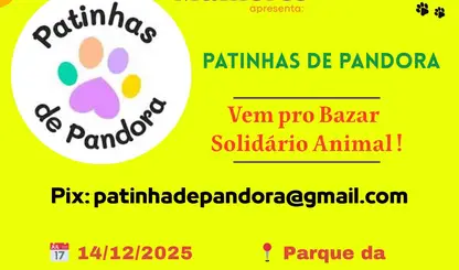 Feirinha PoliMulheres: quando empreender vira programa de domingo