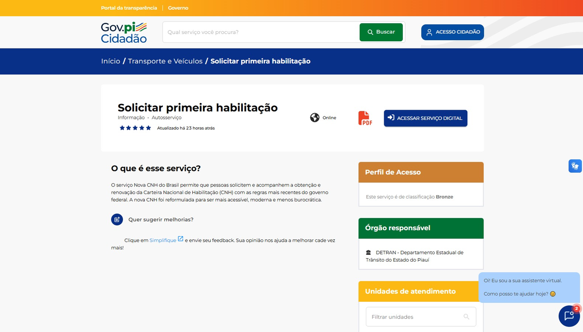 Passo a passo para CNH do Brasil