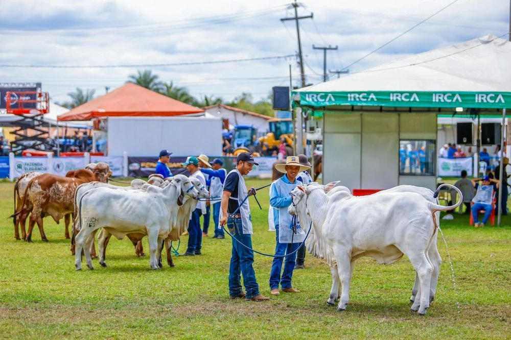 Rafael Fonteles entrega honraria a destaques do agro na Expoapi