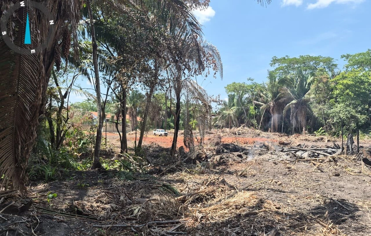 Semarh flagra desmatamento ilegal