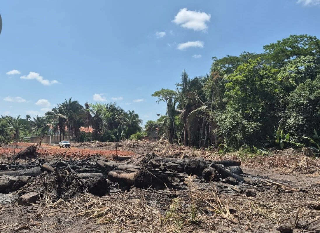 Semarh flagra desmatamento ilegal