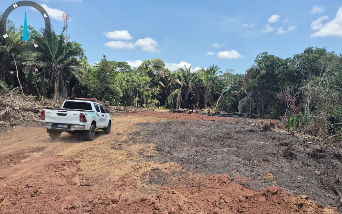 Semarh flagra desmatamento ilegal