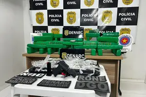 Tabletes de maconha apreendidos na zona sul de Teresina (Foto: Reprodução)
