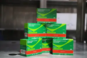 Vacina contra dengue 1, 2, 3 e 4 (Foto: Reprodução)