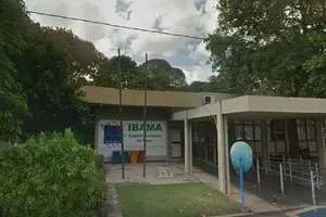 Ibama em Teresina (Foto: Reprodução)