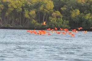Crescimento econômico e políticas públicas impulsionam turismo no Piauí (Foto: Ascom/Reprodução)