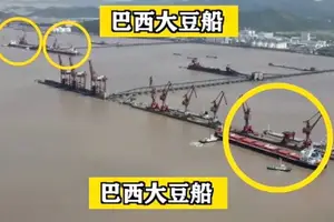 Navios com soja brasileira no porto de Ningbo-Zhoushan, na China, em 26 de abril de 2025 (Foto: Reprodução/Yuyuan Tan Tian)