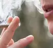 Estudo revela possível impacto da maconha na saúde cardiovascular