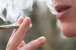 A pesquisa concluiu que a função vascular foi reduzida em 42% em fumantes de maconha e em 56% em usuários de alimentos com THC, a partir de uma comparação com não usuários. (Foto: Reprodução | Internet)