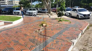Árvore cortada totalmente (Foto: Revista40graus)