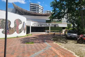 Árvore cortada totalmente (Foto: Revista40graus)