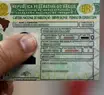 Governo do Piauí institui CNH Social e garante 10 mil habilitações gratuitas