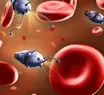 Humanos poderão alcançar a imortalidade até 2030 com nanorrobôs
