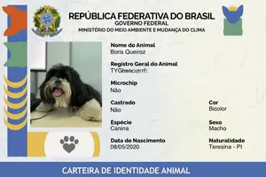 Identidade animal (Foto: Reprodução)