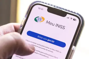 Meu INSS aplicativo (Foto: INSS)