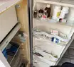 Funcionário da Zoonoses e protetora de animais são presos em operação