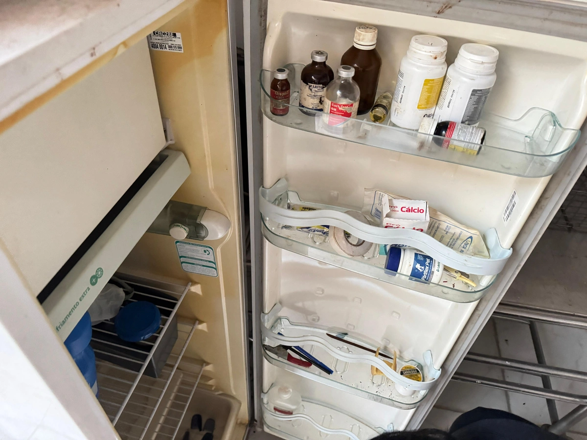 Operação Falso Vet, geladeira com medicamentos sem autorização