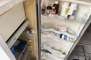 Operação Falso Vet, geladeira com medicamentos sem autorização (Foto: SSP-PI)