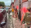 Polícia Civil deflagra operação contra falsos veterinários em Teresina