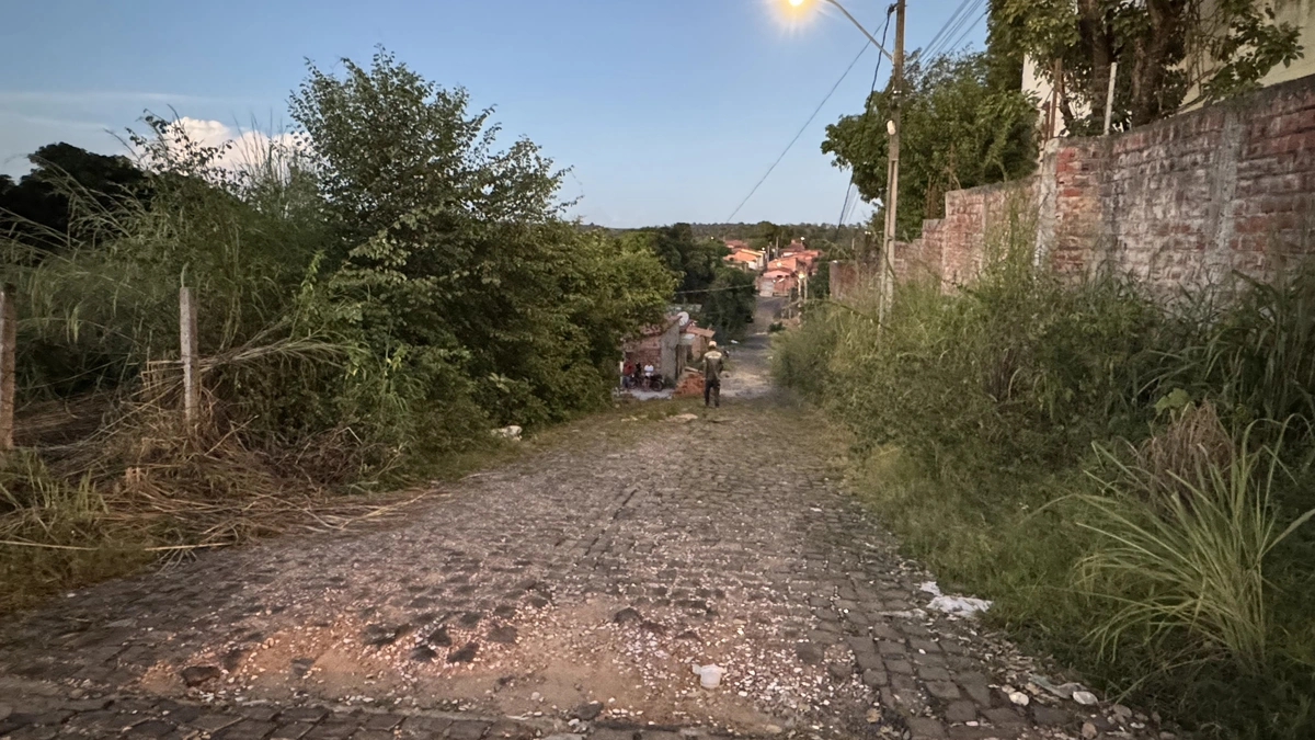 Os alunos da Escola Barjas Negri estão expostos ao risco, uma vez que o matagal pode servir de esconderijo para criminosos.