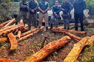 Policiais e fiscais combatem o desmatamento (Foto: Divulgação / Semarh)