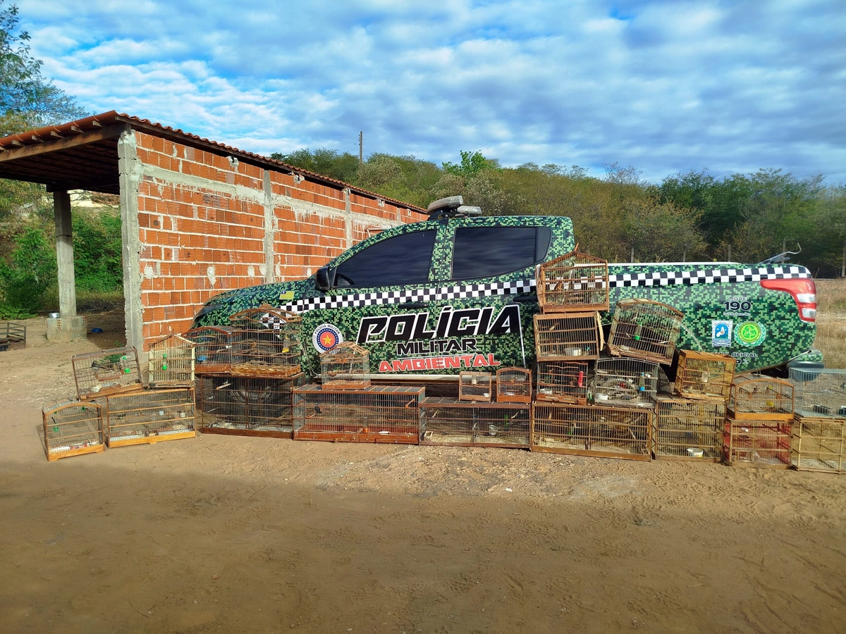 Viatura policial em apreensão de aves silvestres e gaiolas