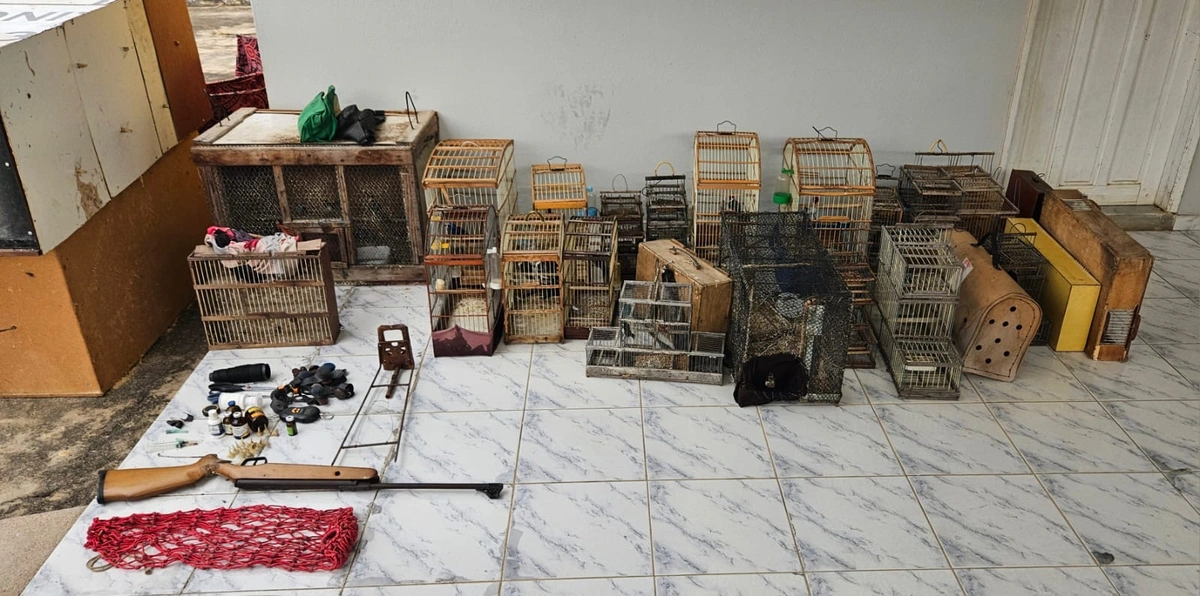 A operação foi deflagrada em uma residência localizada na zona rural do município de Pio IX.