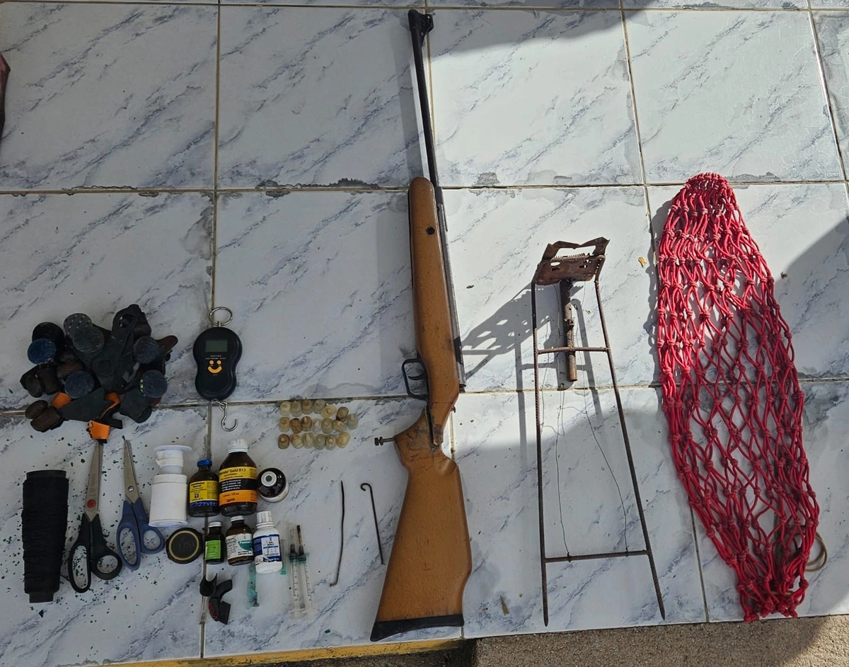 A operação foi deflagrada em uma residência localizada na zona rural do município de Pio IX.
