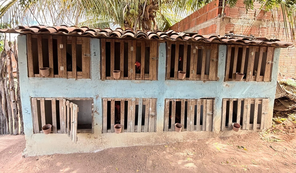 A operação foi deflagrada em uma residência localizada na zona rural do município de Pio IX.